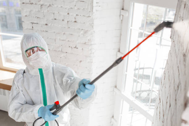 Best Mold Remediation for Healthcare Facilities  in Homewood, SC