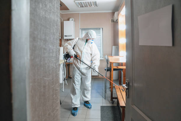 Best Mold-Related Health Consultation  in Homewood, SC