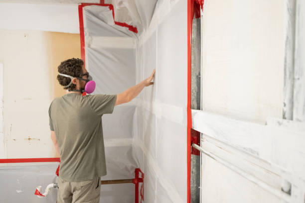 Best Mold Remediation for Rental Properties  in Homewood, SC