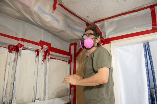 Best Mold Odor Removal Services  in Homewood, SC