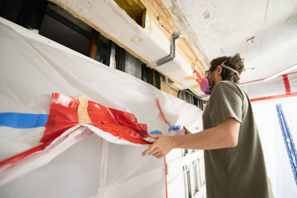 Best Basement Mold Removal  in Homewood, SC