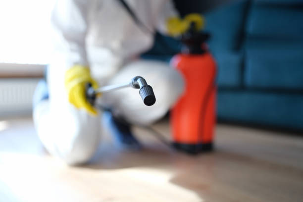 Best Emergency Mold Remediation  in Homewood, SC