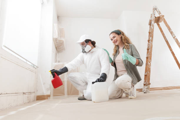 Best Post-Remediation Verification Testing  in Homewood, SC